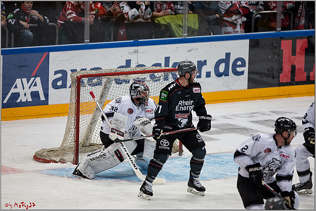 DEL, Koelner Haie - Nuernberg Ice Tiger, 24.01.2017